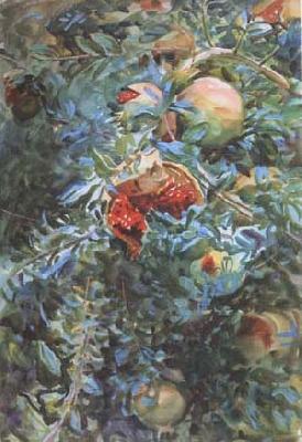 John Singer Sargent Pomegranates (mk18)
